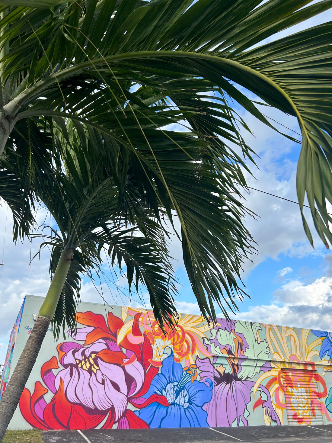 Frankie goes to Florida π